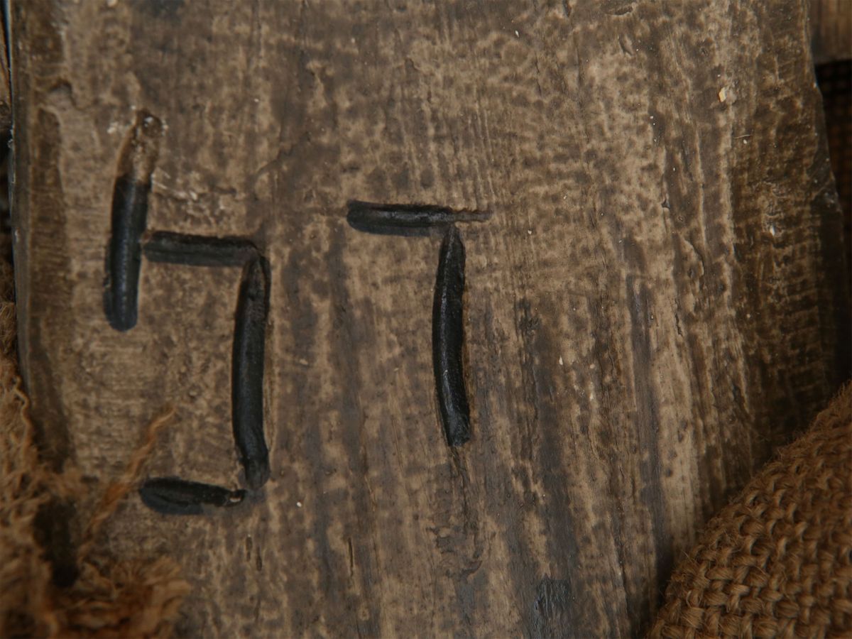 Grande Pinocchio in Legno Tenero