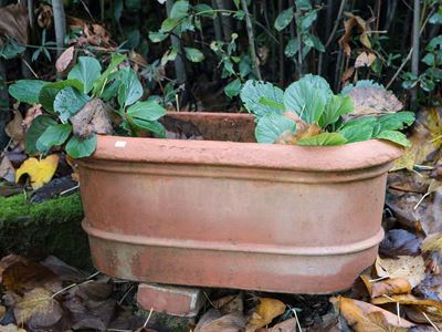 Due Vasi da Giardino in Terracotta di Galestro