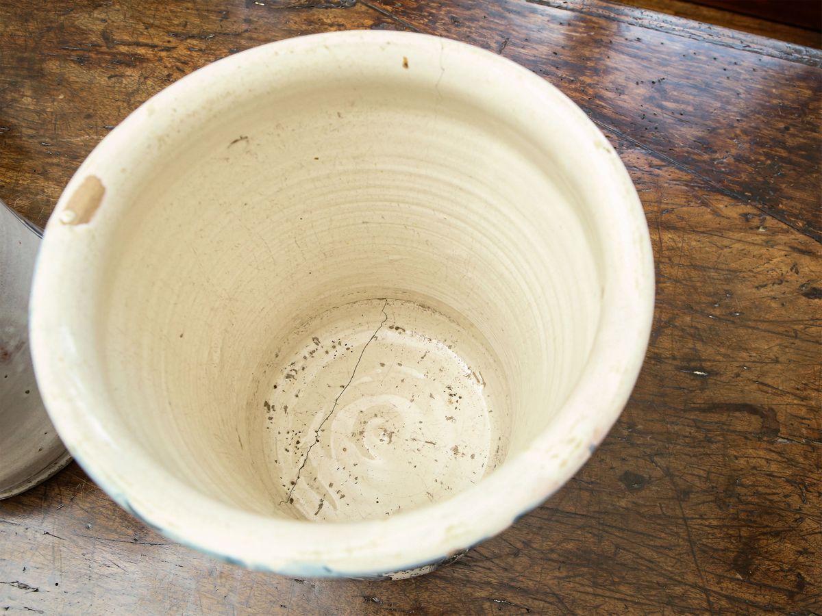 Coppia di Grandi Albarelli in Maiolica