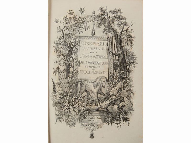 Ercole Marenesi - Dizionario Pittoresco della Storia Naturale e delle Manifatture
