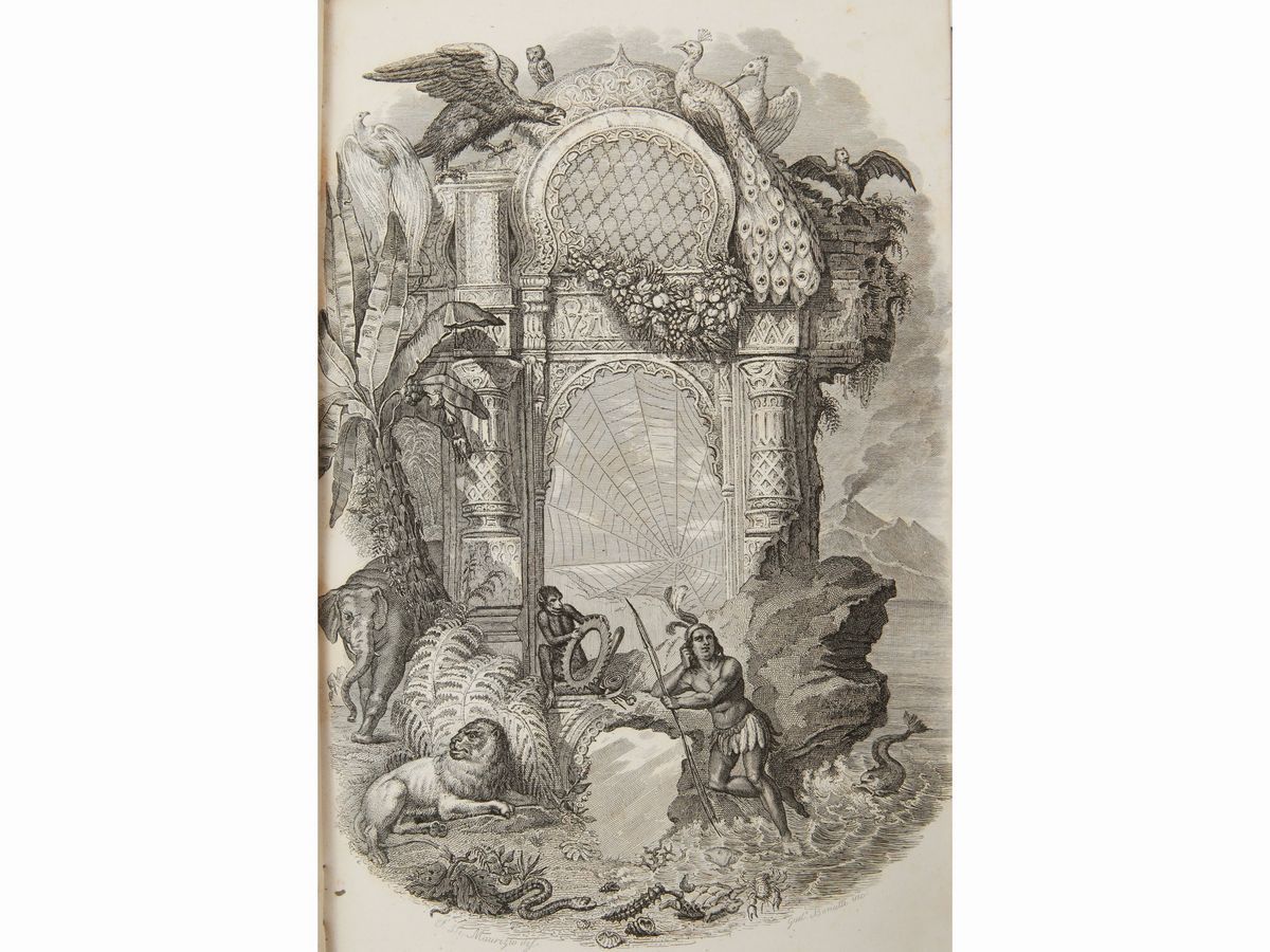 Ercole Marenesi - Dizionario Pittoresco della Storia Naturale e delle Manifatture