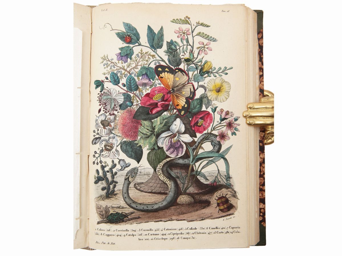 Ercole Marenesi - Dizionario Pittoresco della Storia Naturale e delle Manifatture
