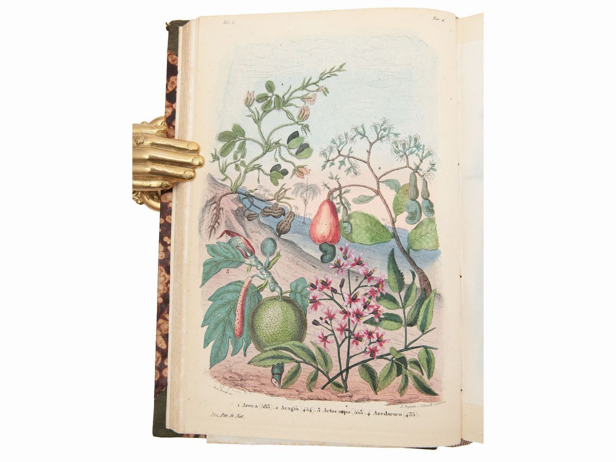 Ercole Marenesi - Dizionario Pittoresco della Storia Naturale e delle Manifatture