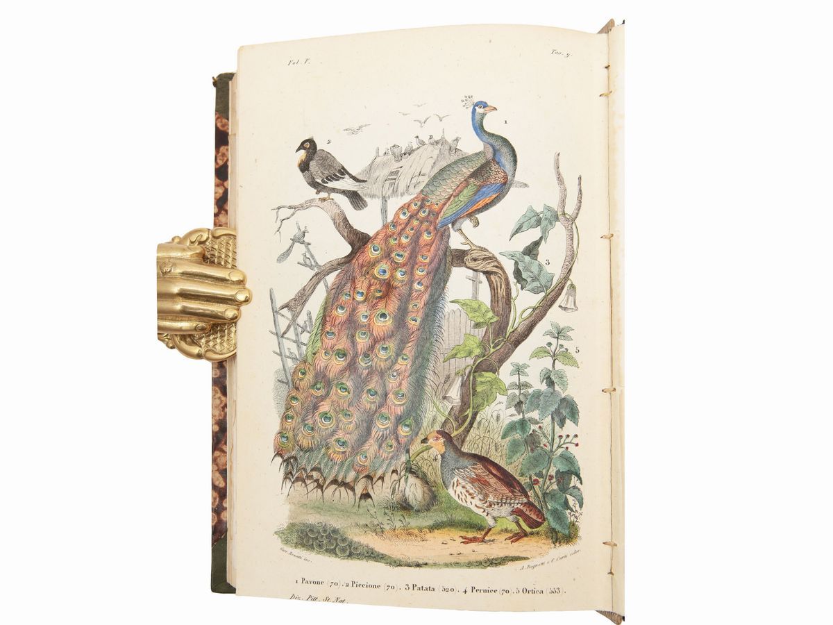 Ercole Marenesi - Dizionario Pittoresco della Storia Naturale e delle Manifatture