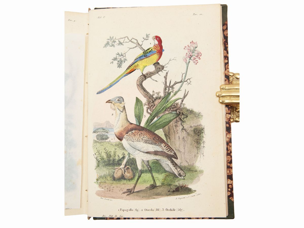 Ercole Marenesi - Dizionario Pittoresco della Storia Naturale e delle Manifatture
