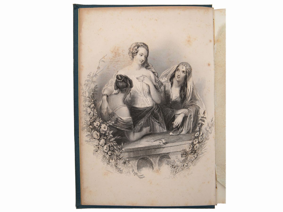 Lis Et Violette