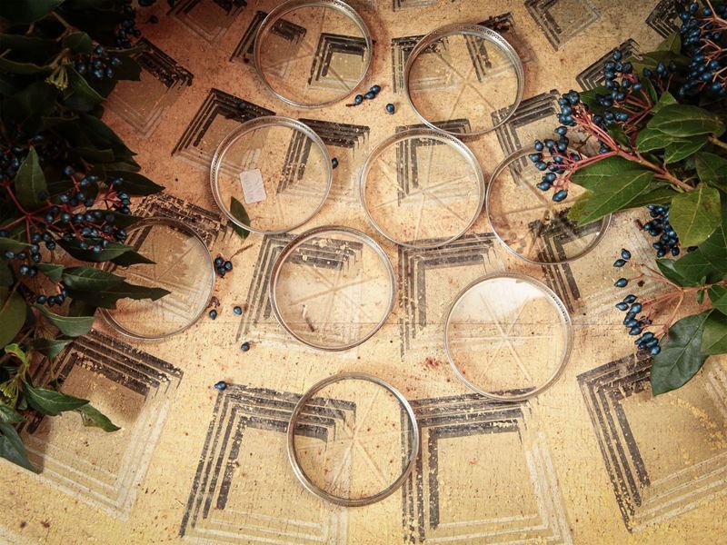 Serie di Dieci Sottobicchieri in Cristallo e Argento