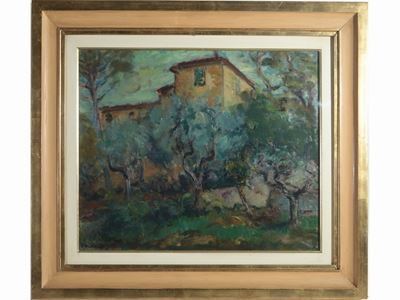 .scorcio di Casa con Ulivi