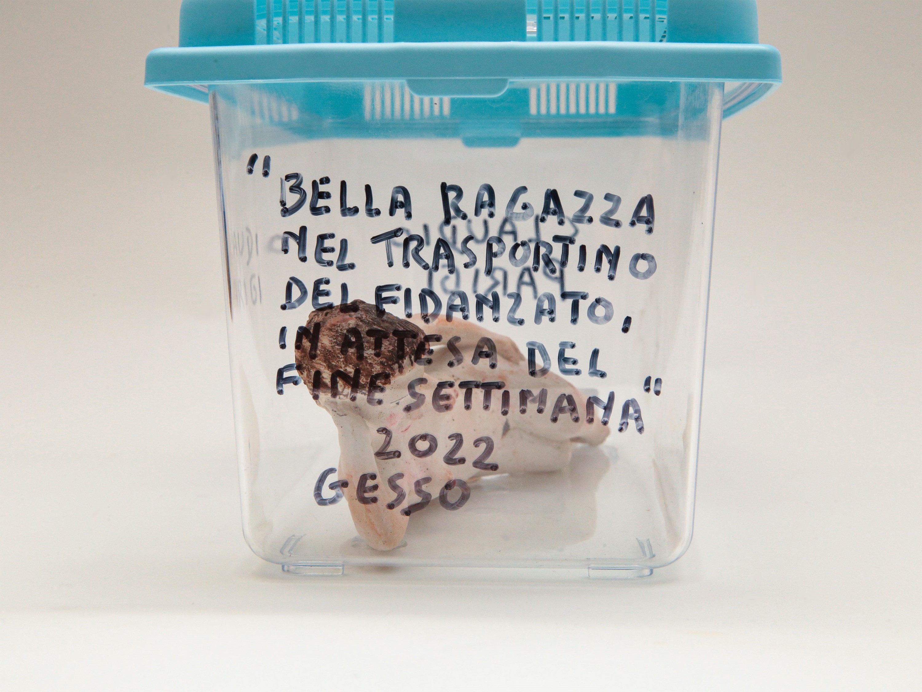 Claudio Parigi - Figura nel Trasportino, 2022