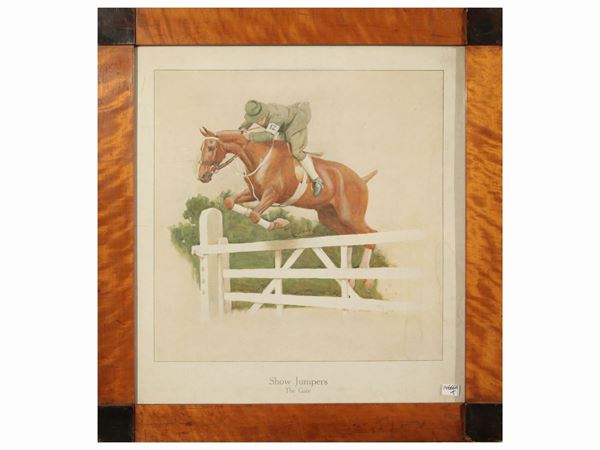 Raccolta a soggetto equestre