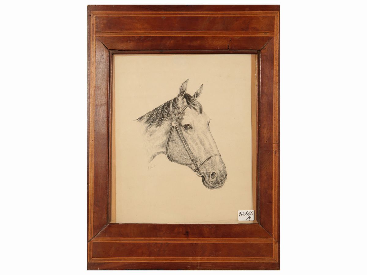 Raccolta a Soggetto Equestre
