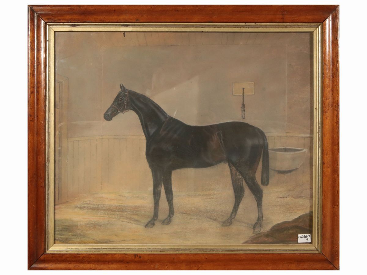 Raccolta a Soggetto Equestre