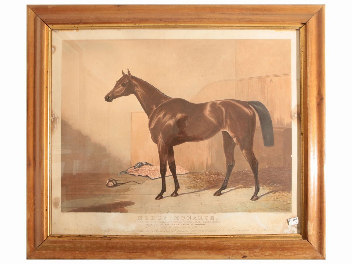 Raccolta a Soggetto Equestre