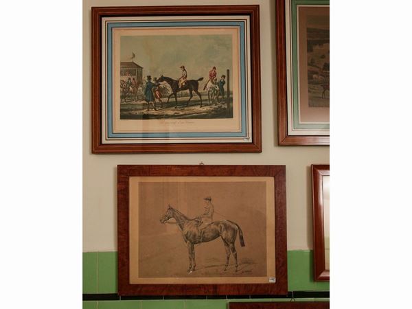 Raccolta a soggetto equestre