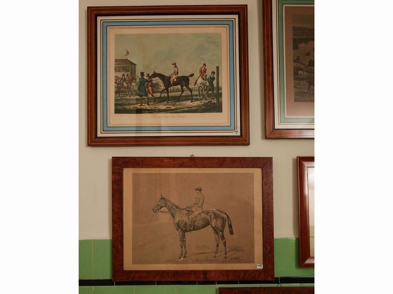 Raccolta a Soggetto Equestre