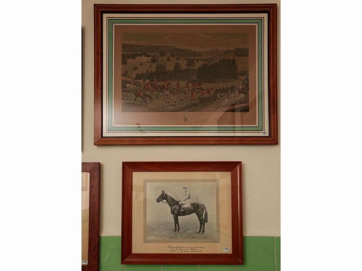 Raccolta a Soggetto Equestre
