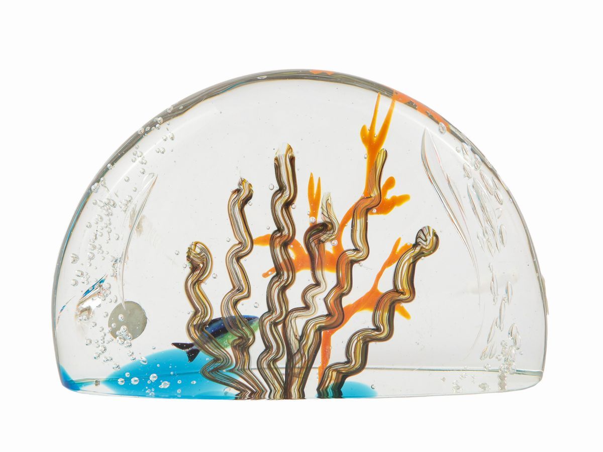 Acquario in Vetro a Forma di Cupola