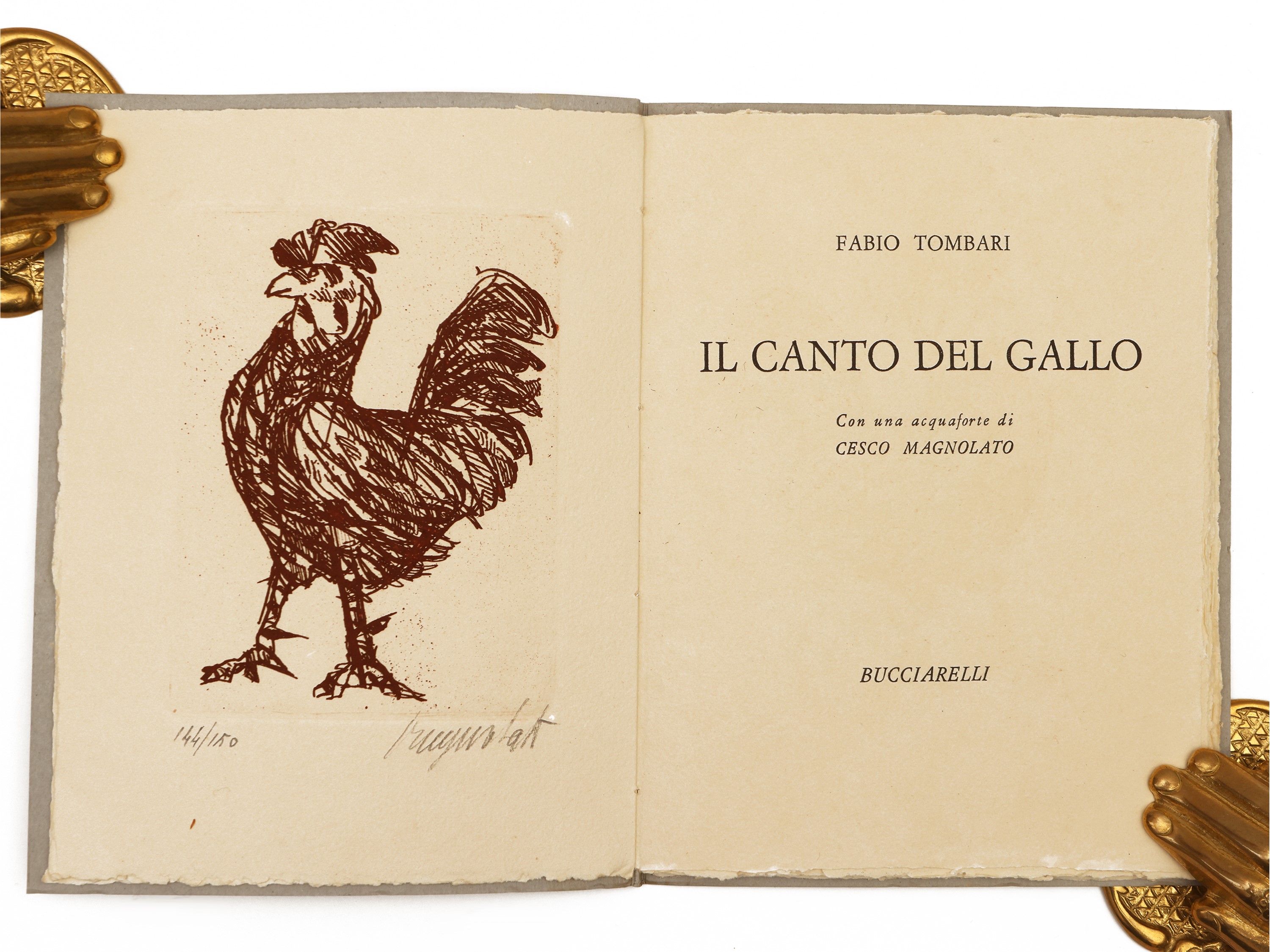 Conti - Piacesi - Magnolato - Fiume - Guidi