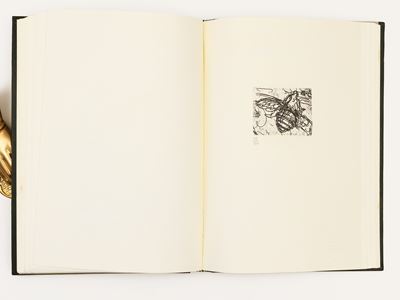 Trenta Artisti per la Bibbia - Terrasanta