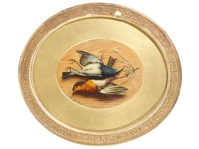 Selvaggina