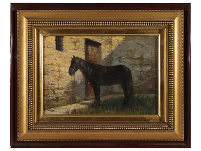 Cavallo 1954