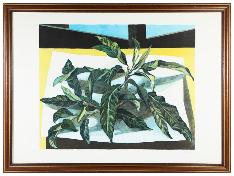 Renato Guttuso - Natura Morta con Pianta