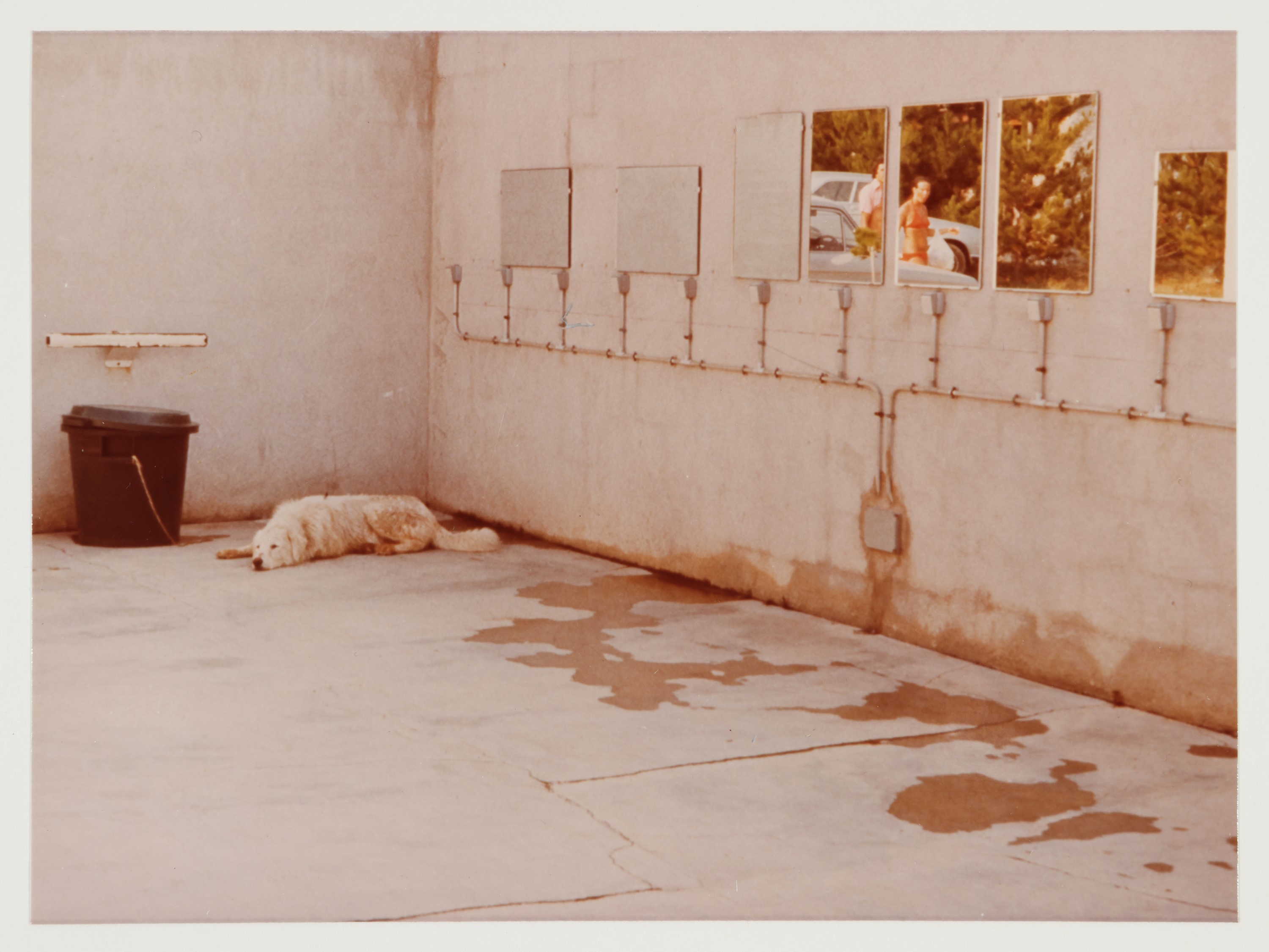 Luigi Ghirri - Portfolio "cantergiani" 1977
