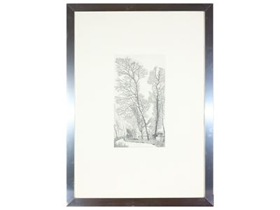 Sentiero Boschivo 1980 e Bosco Megni - il Sentiero della Legna 1978