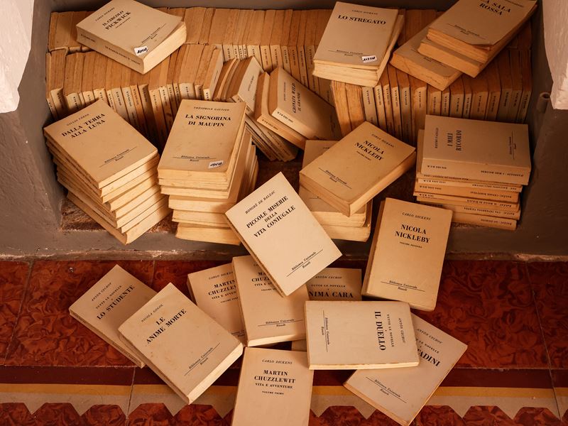 Raccolta di Libri di Narrativa