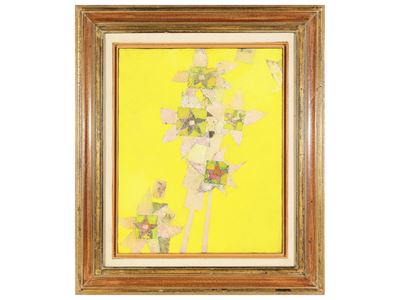 L'acidanthera Murielae di Cecilia 1981