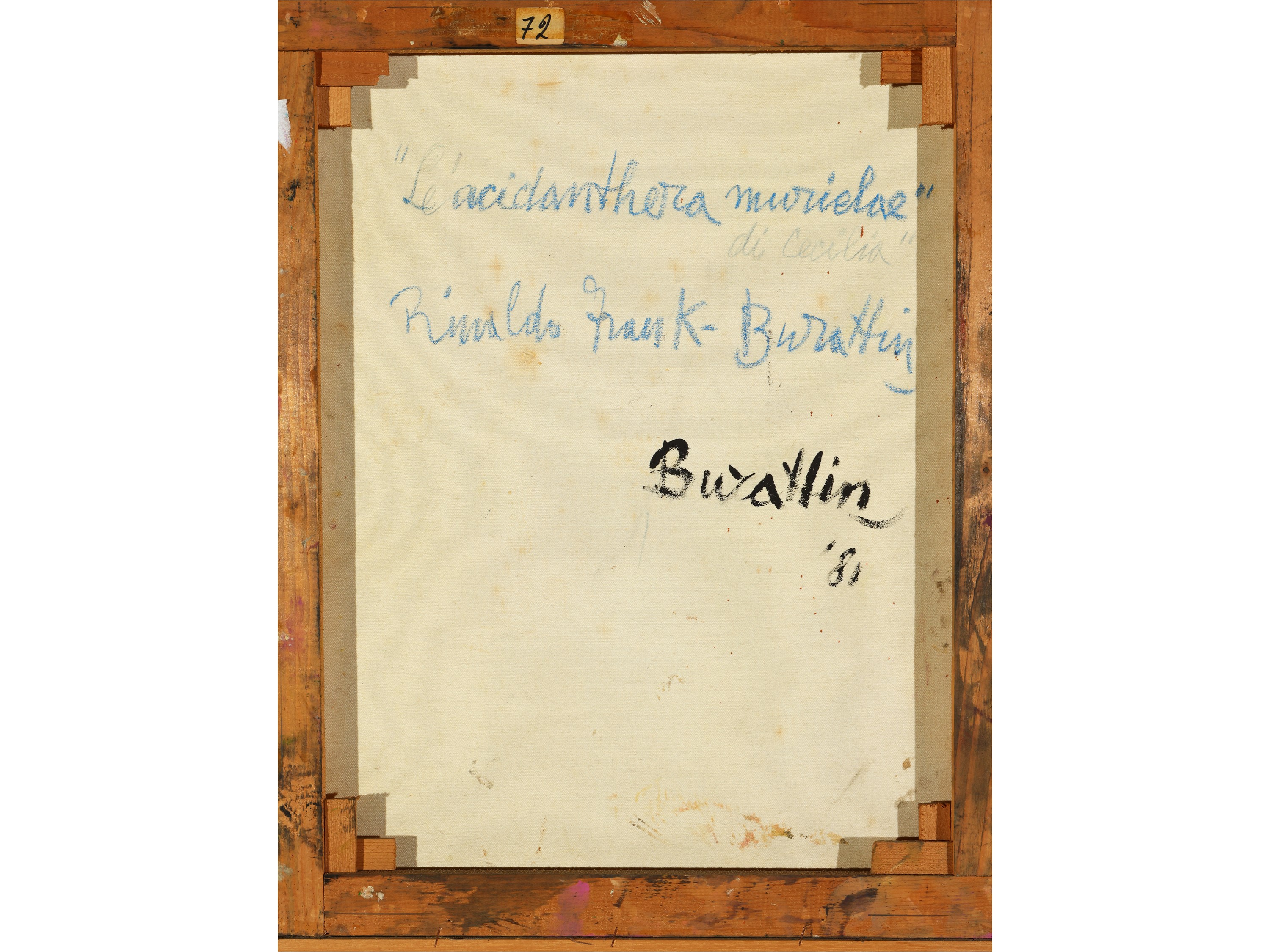 Rinaldo Frank Burattin - L'acidanthera Murielae di Cecilia 1981