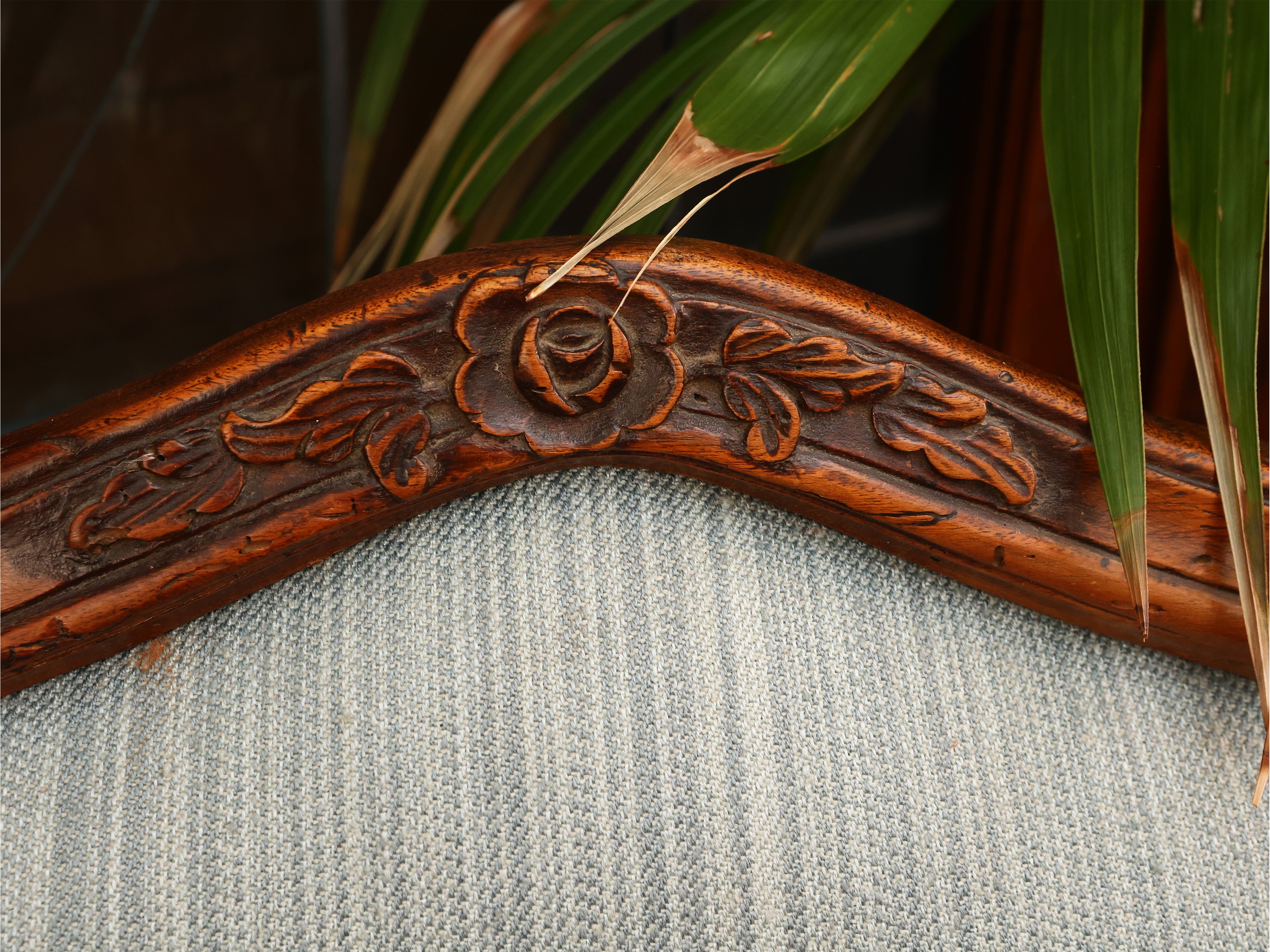 Coppia di sedie in noce