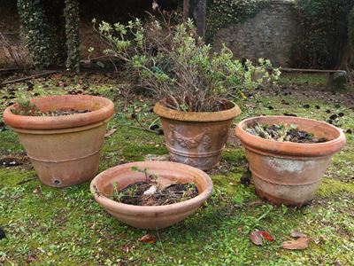Tre Vasi da Giardino ed una Ciotola in Terracotta