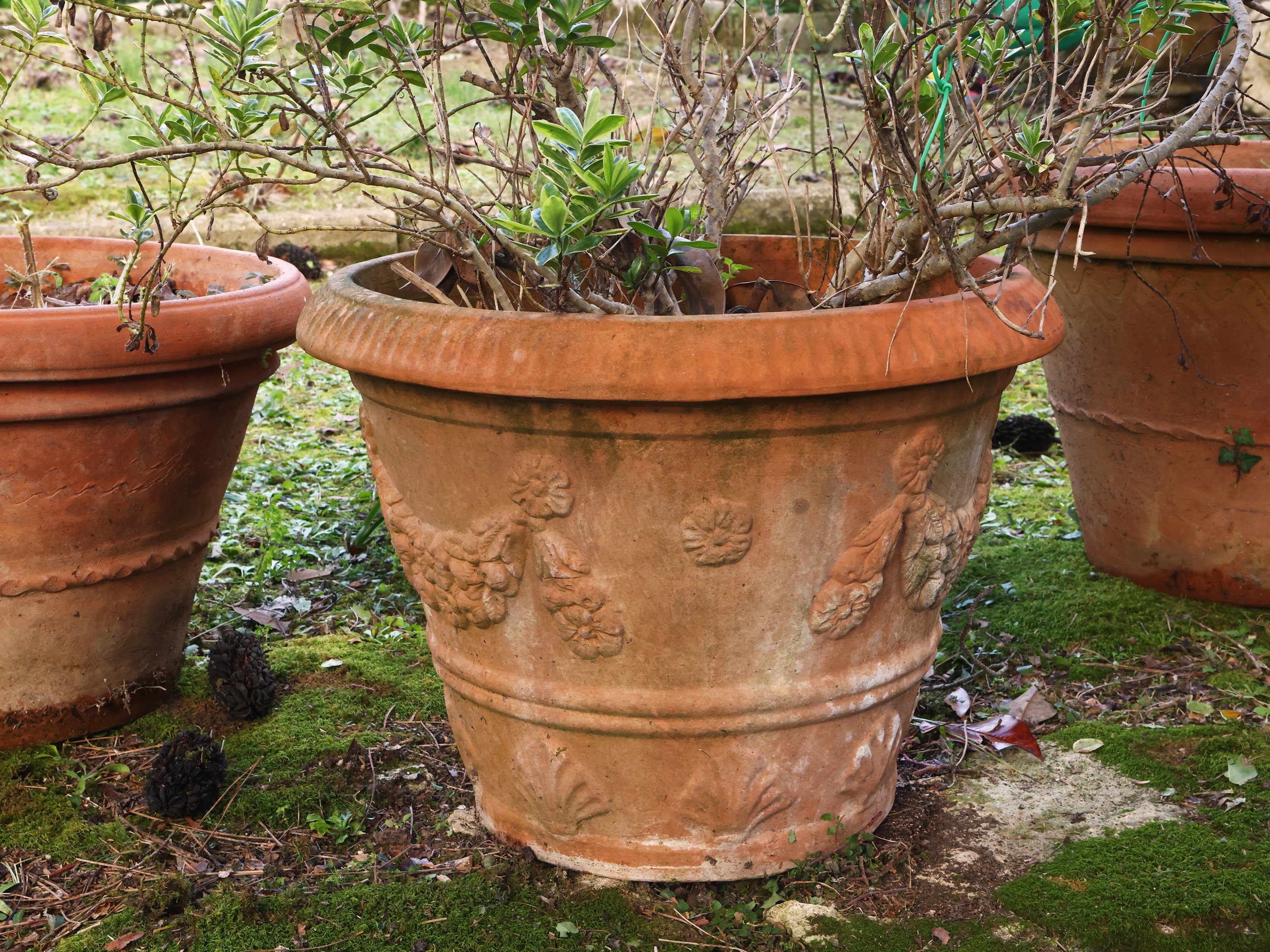 Tre Vasi da Giardino ed una Ciotola in Terracotta