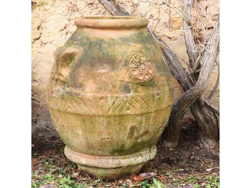 Orcetto in Terracotta