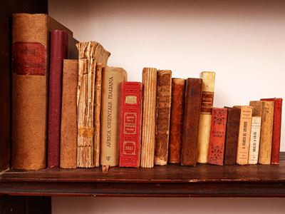 Miscellanea di Libri di Curiosità