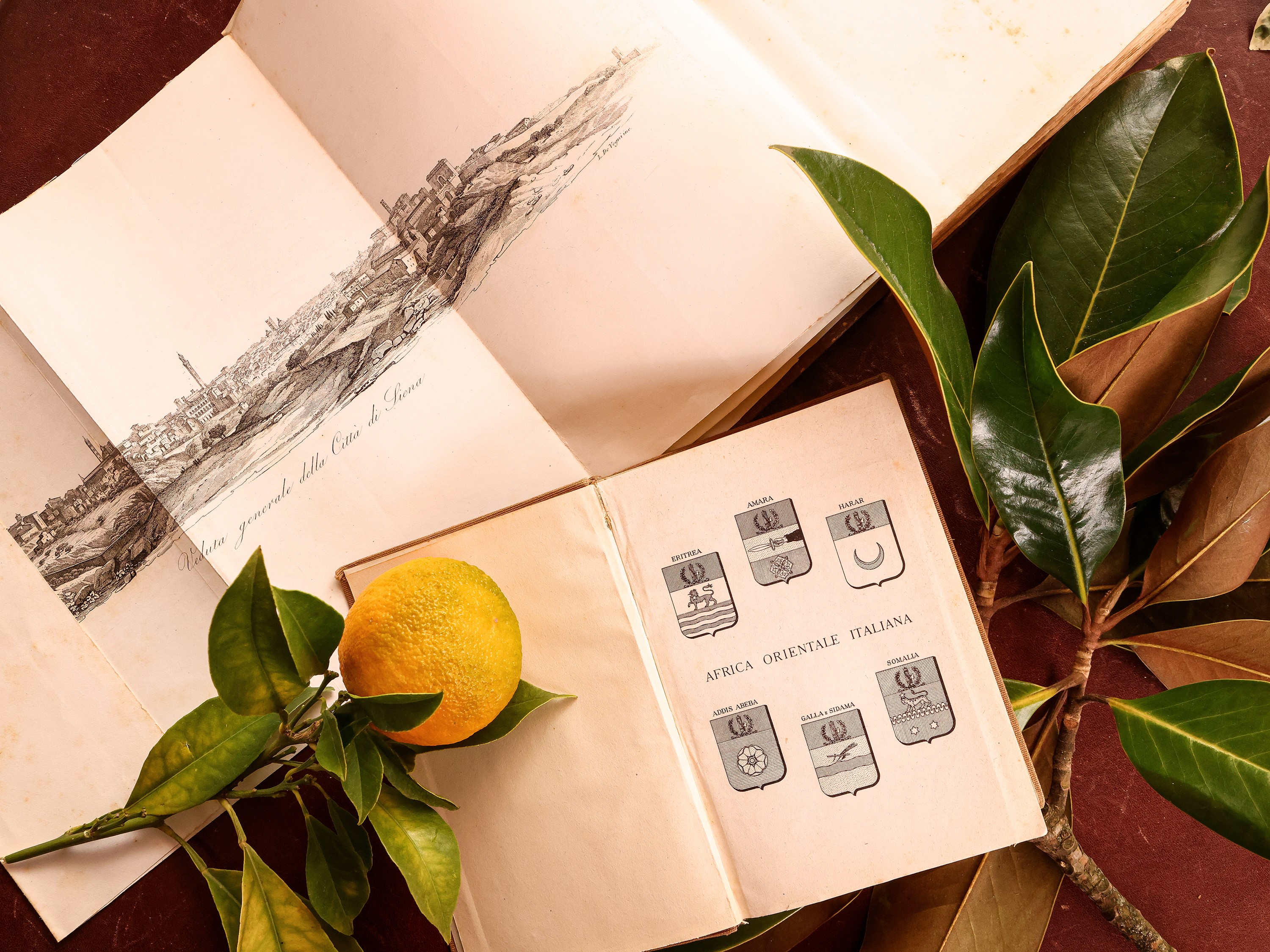 Miscellanea di Libri di Curiosità