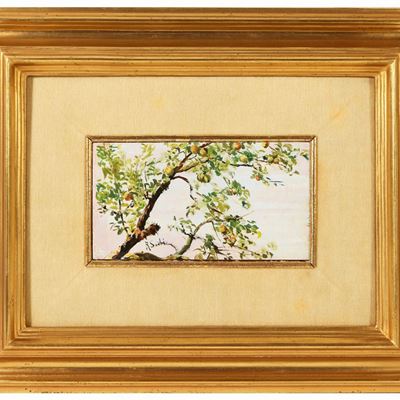Albero di Pesco