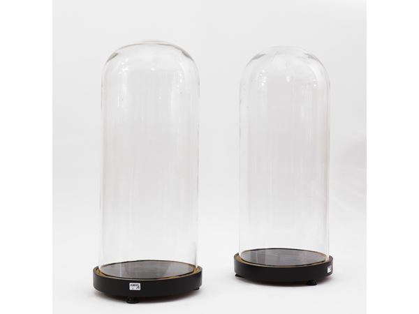 Pair of cases for blown glass sculptures