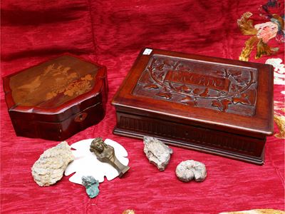 Lotto di Curiosità D'epoca