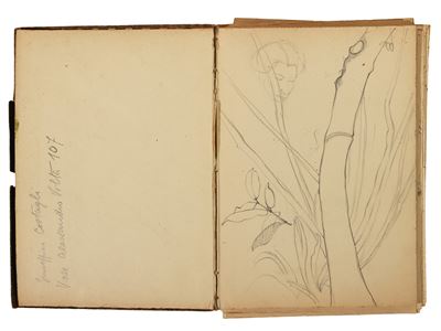 Taccuino di Disegni