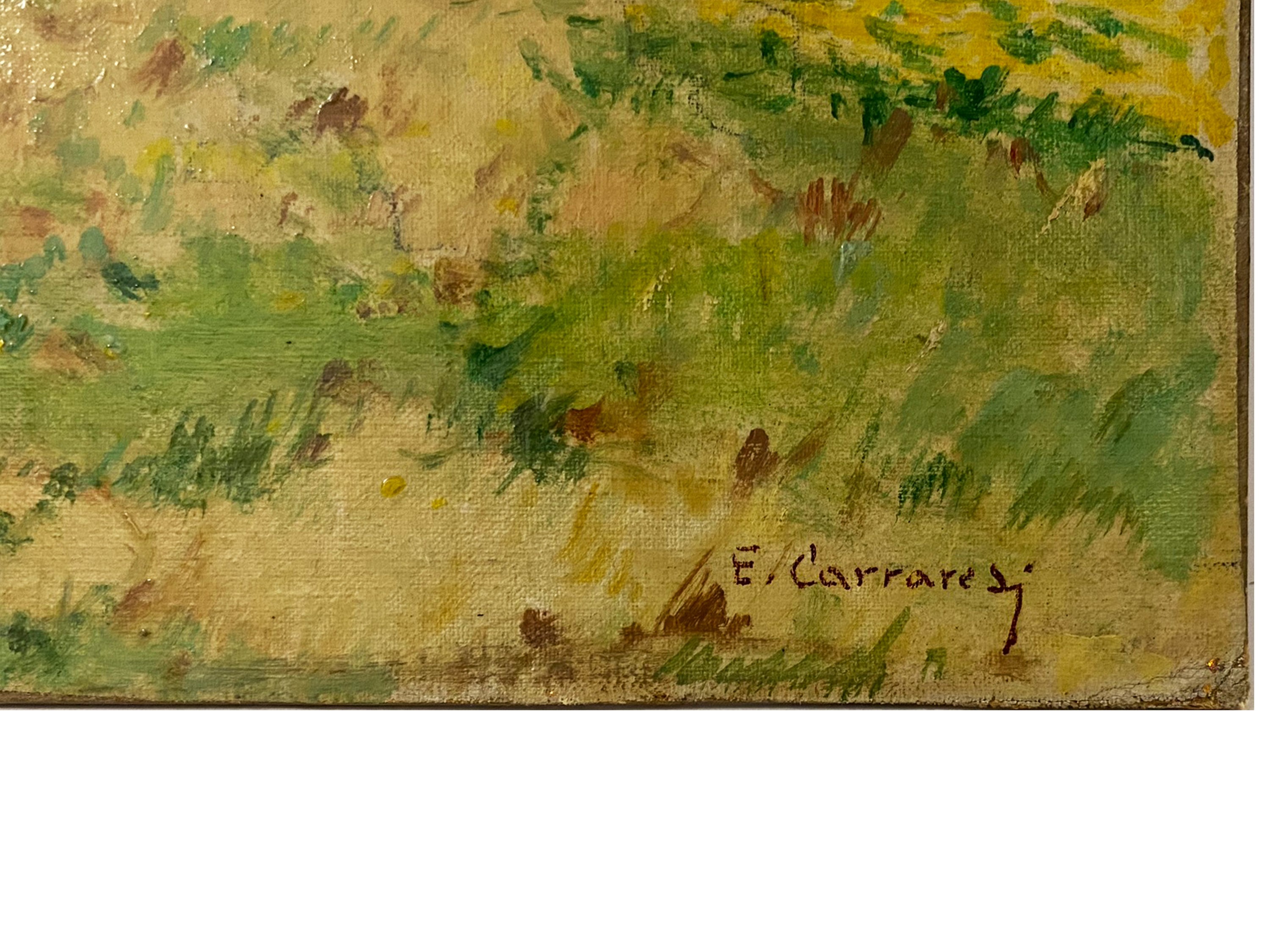 Eugenio Carraresi - Campagna Livorno