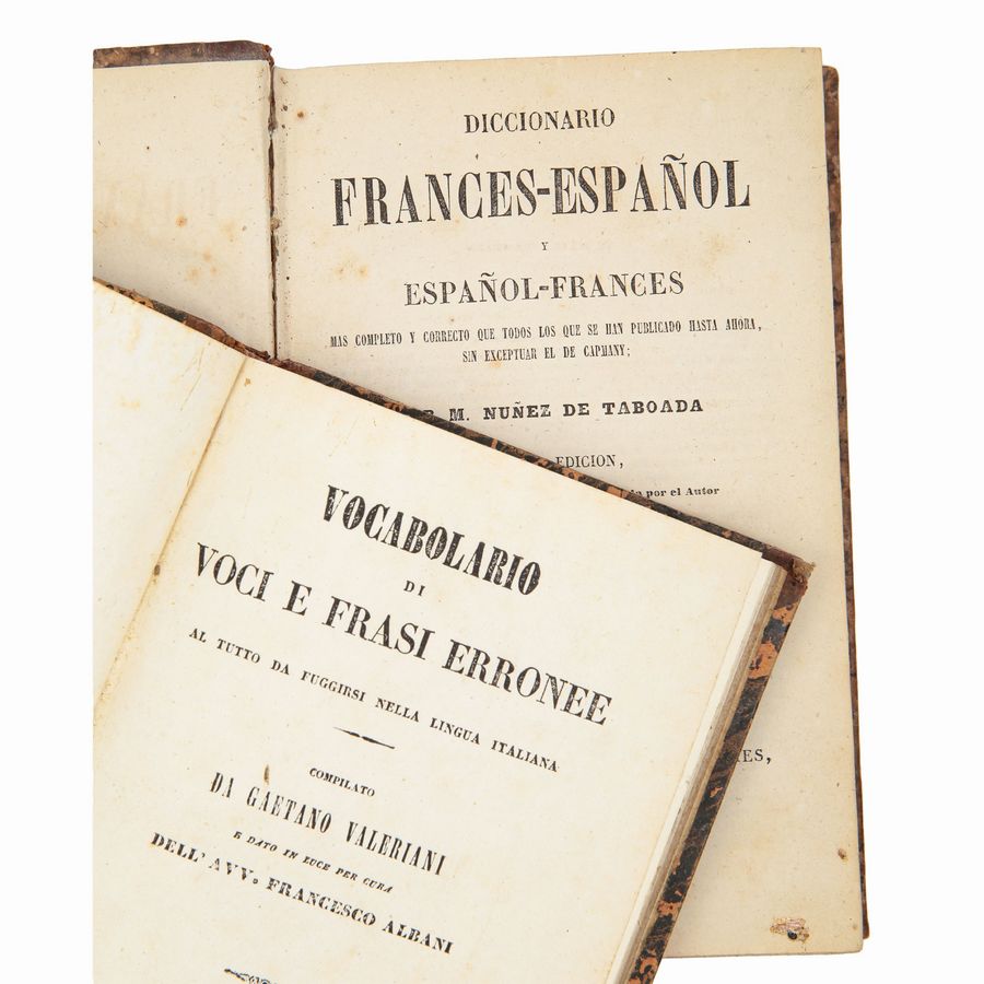 Dizionari e Testi di Lingua Antichi