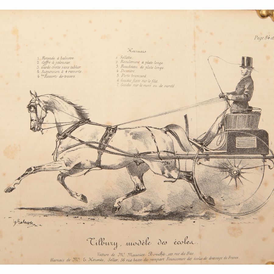 Louis Edme: Vicomte De Montigny - Manuel Des Piqueurs, Cochers, Grooms Et Palefreniers...