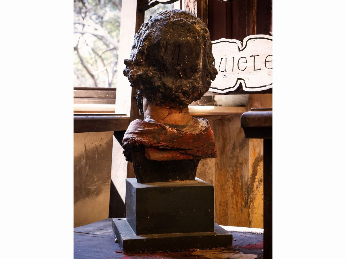 Busto Maschile