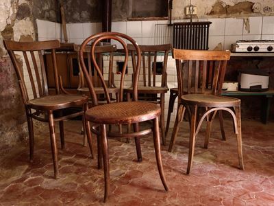 Serie di Sedie in Faggio Curvato, Thonet e Wiener