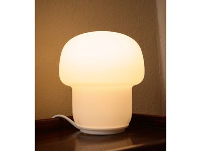 Assortimento di Complementi per Illuminazione