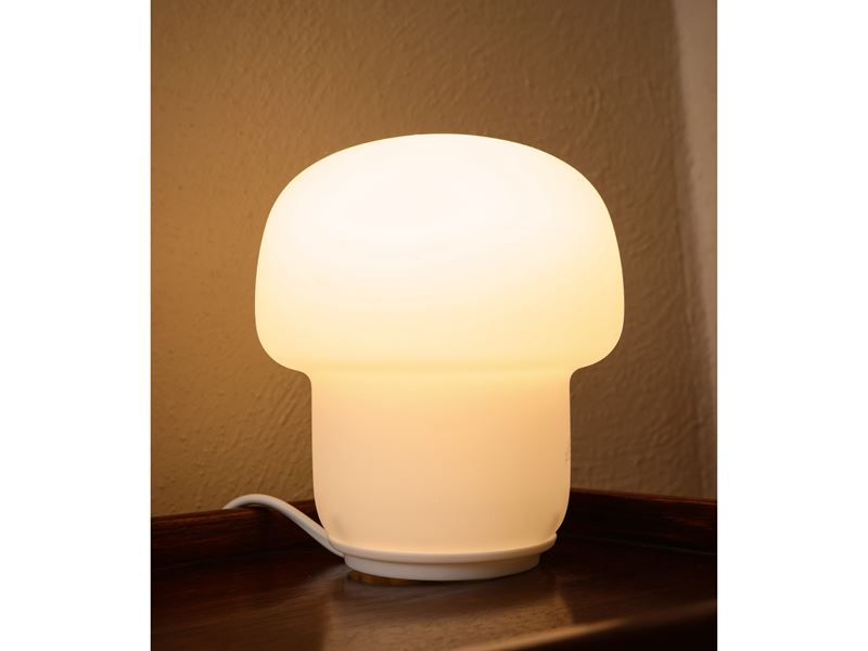Assortimento di Complementi per Illuminazione