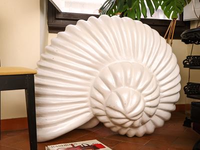 Grande Conchiglia Decorativa in Resina Bianca