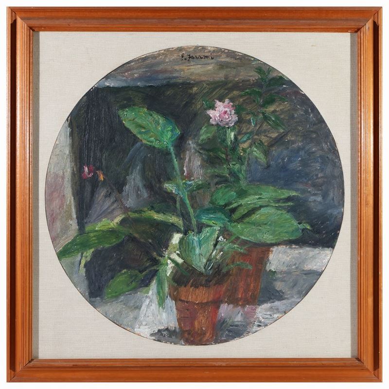 Enzo Faraoni - Natura Morta con Piante